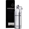 MONTALE PATCHOULI LEAVES EDP 100ML