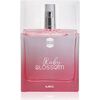 AJMAL RUBY BLOSSOM EDP 50ML