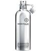 MONTALE PARIS FANTASTIC BASIL EDP 100ML