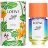 LOEWE PAULA'S IBIZA ECLECTIC EDT 50ML