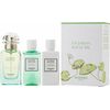 HERMÈS UN JARDIN SUR LE NIL EDT GIFT SET 50 ML, BODY LOTION 40 ML AND SHOWER GEL 40 ML
