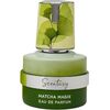 ARMAF SCENTASY MATCHA MAGIX EDP