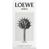 LOEWE SOLO LOEWE CEDRO EDT
