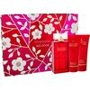 ELIZABETH ARDEN RED DOOR SET EDT 100 ML + BODY LOTION RED DOOR 100 ML + SHOWER GEL RED DOOR 100 ML 100ML
