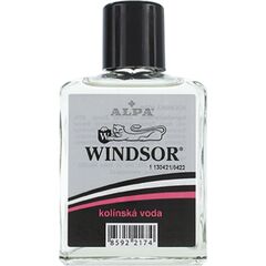 ALPA WINDSOR EDC 100ML