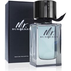 BURBERRY MR. BURBERRY EDT 100ML