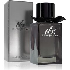 BURBERRY MR. BURBERRY EDP 100ML