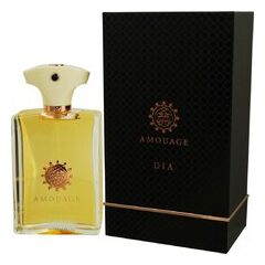 AMOUAGE DIA POUR HOMME EDP 100ML