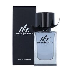 BURBERRY MR. BURBERRY EDT 100ML