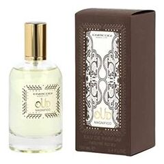 ENRICO GI OUD MAGNIFICO EDP 100ML