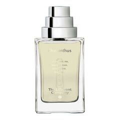 THE DIFFERENT COMPANY OSMANTHUS EDP