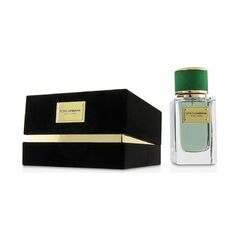 DOLCE GABBANA VELVET CYPRESS EDP