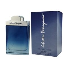 SALVATORE FERRAGAMO SUBTIL POUR HOMME EDT