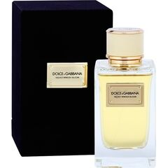 DOLCE GABBANA VELVET MIMOSA BLOOM EDP