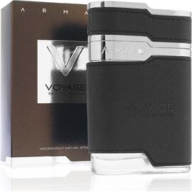 ARMAF VOYAGE BROWN EDP 100ML