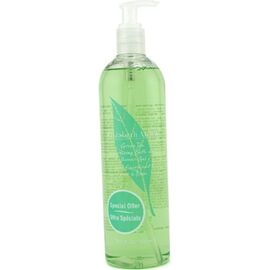 ELIZABETH ARDEN GREEN TEA SHOWER GEL 500ML