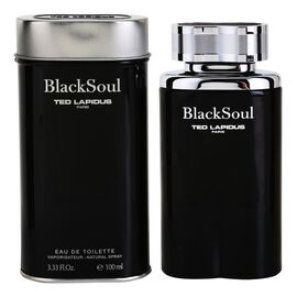 TED LAPIDUS BLACK SOUL EDT 100 ML