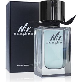 BURBERRY MR. BURBERRY EDT 100ML