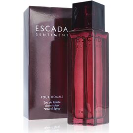 ESCADA SENTIMENT POUR HOMME EDT 100ML