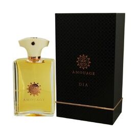 AMOUAGE DIA POUR HOMME EDP 100ML