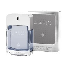 BUGATTI SIGNATURE GRAY EDT 100ML