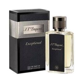 DUPONT EXCEPTIONAL EDP 100ML