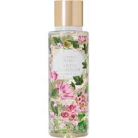 VICTORIA´S SECRET SANTAL BLOSSOM TĚLOVÝ SPREJ 250ML