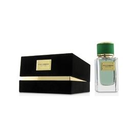DOLCE GABBANA VELVET CYPRESS EDP