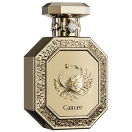 FRENCH AVENUE CANCER EDP
