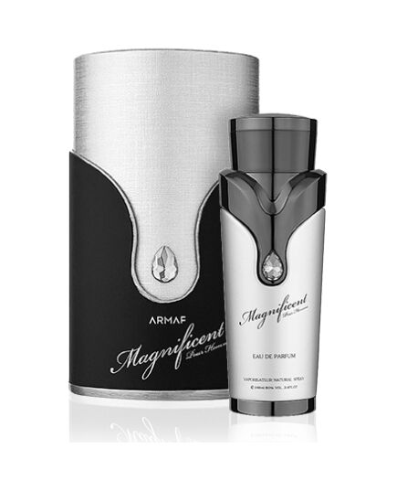 ARMAF MAGNIFICENT SILVER EDP 100ML