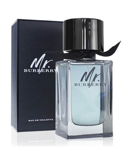 BURBERRY MR. BURBERRY EDT 100ML