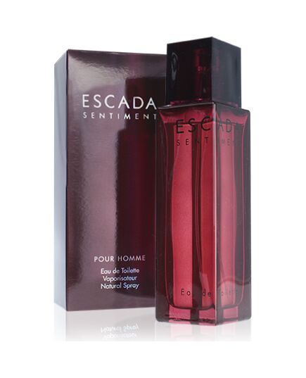 ESCADA SENTIMENT POUR HOMME EDT 100ML