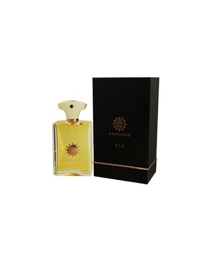 AMOUAGE DIA POUR HOMME EDP 100ML