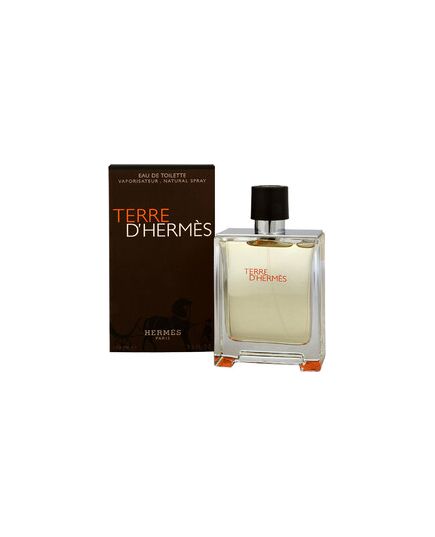 HERMÈS TERRE D `HERMES EDT 100ML
