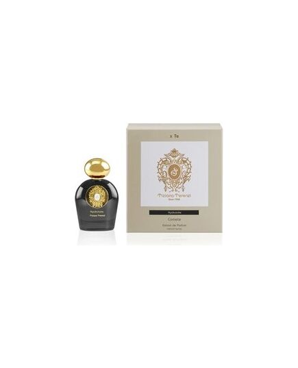TIZIANA TERENZI HYAKUTAKE EXTRAIT DE PARFUM 100ML