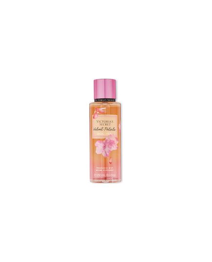 VICTORIA´S SECRET VELVET PETALS GOLDEN BODY SPRAY 250ML