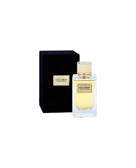 DOLCE GABBANA VELVET MIMOSA BLOOM EDP