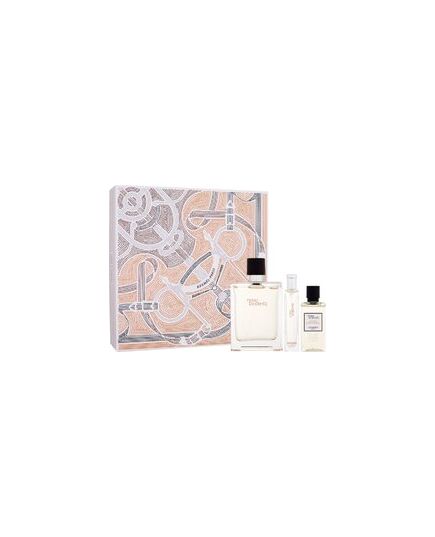 HERMÈS TERRE D'HERMES GIFT SET EDT 100 ML, MINIATURE EDT 15 ML AND SHOWER GEL 40 ML