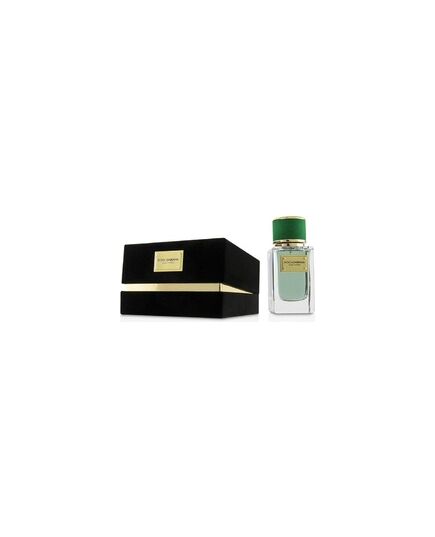 DOLCE GABBANA VELVET CYPRESS EDP