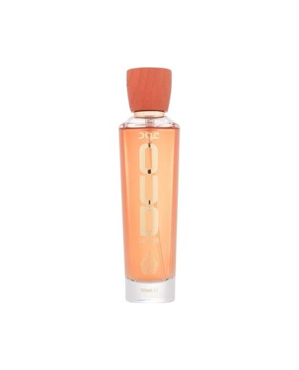 HOUSE OF PERFUMES OUD SAFFRON EDP