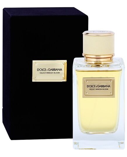DOLCE GABBANA VELVET MIMOSA BLOOM EDP