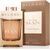 BVLGARI MAN TERRAE ESSENCE EDP 100ML