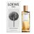 LOEWE AURA WHITE MAGNOLIA EDP